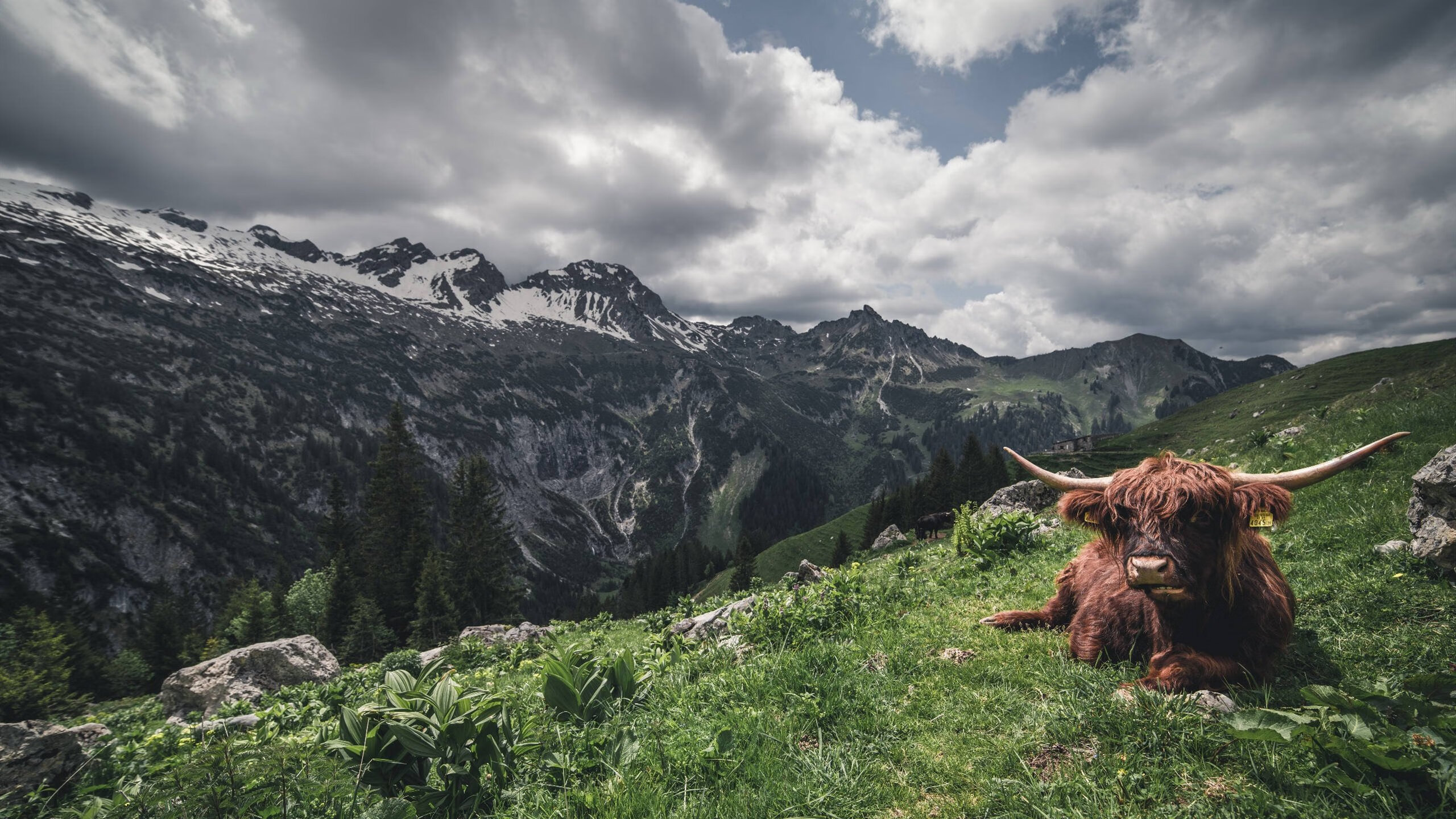 kaiyun开云·官方网站-“英超领先球队连胜不断，目标直指冠军”，英超最强联赛