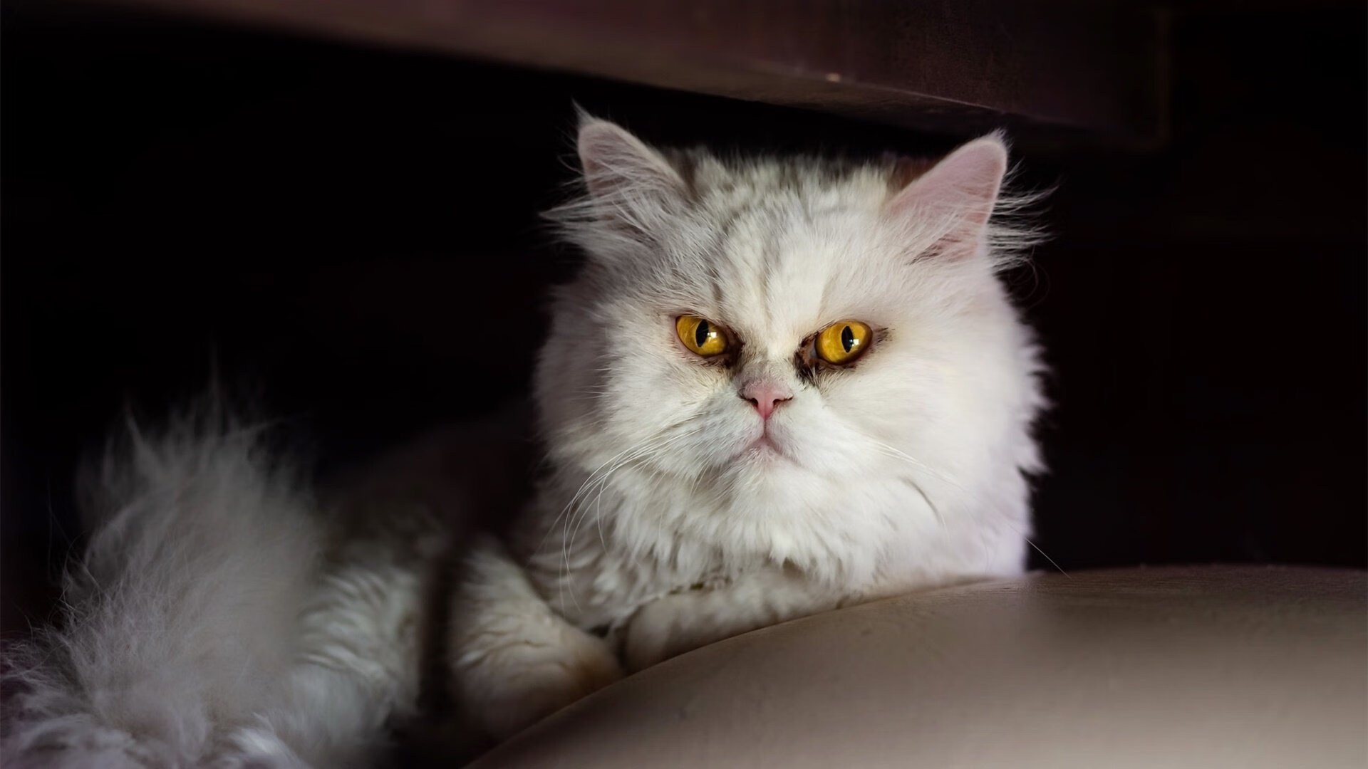 【大数据让比赛更科学】全方位数据指数助推赛场决策,大数据技能比赛都比什么