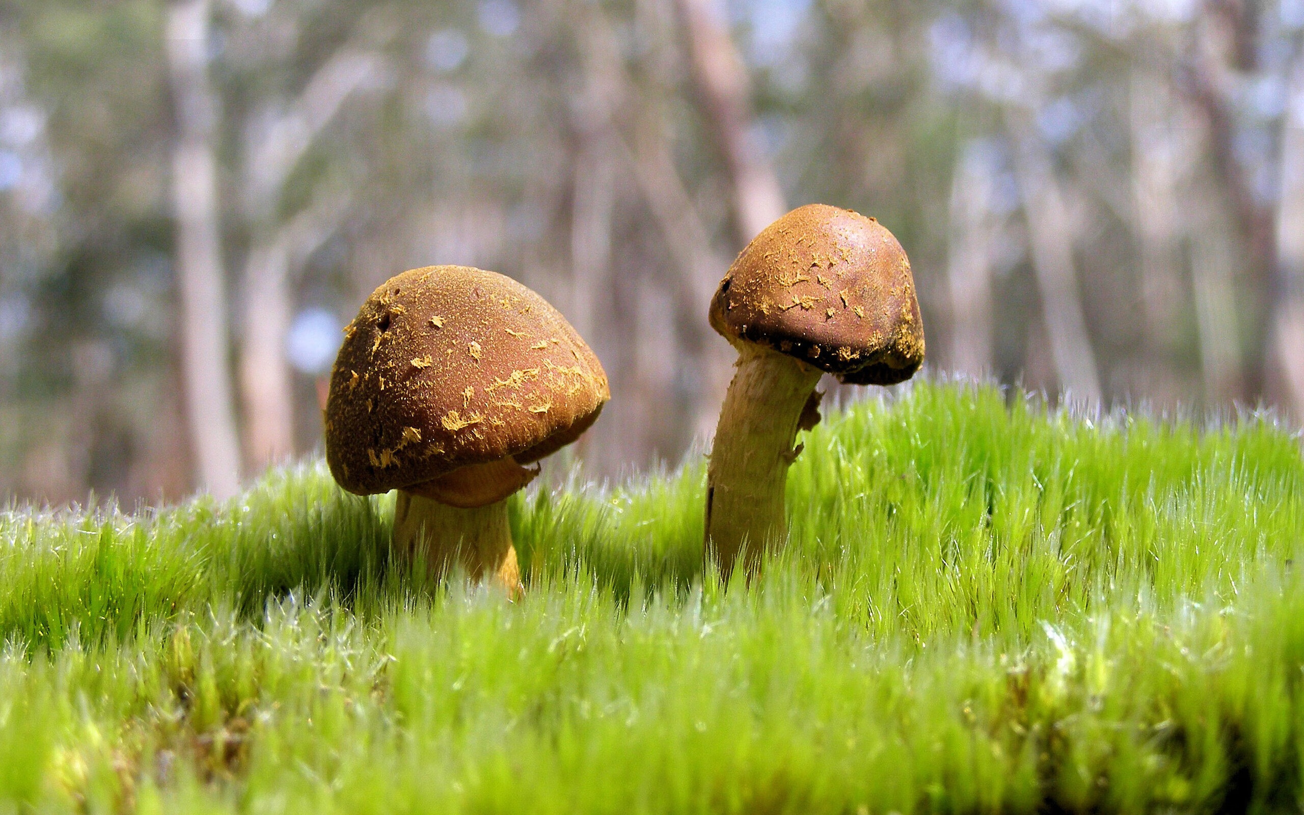 开云体育APP下载-中国足球青训营地建设全面提速，打造未来“足球之都”，中国足球青训俱乐部排名